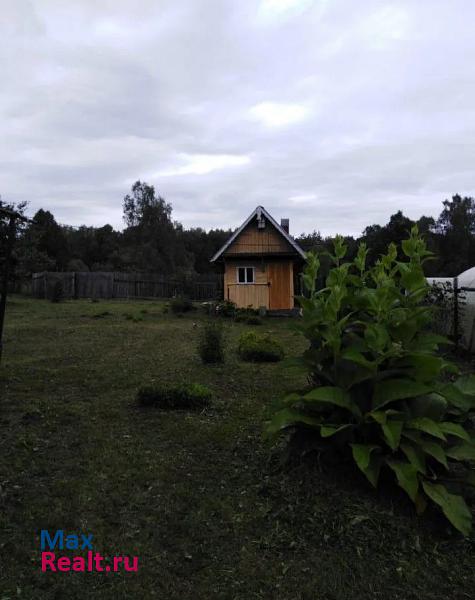 Костерево деревня Пекша, Садовая улица частные дома