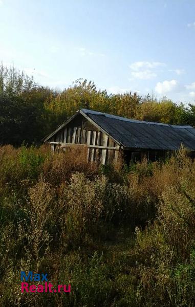 Сараи село Алексеевка, улица Дружбы частные дома