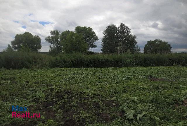 Борское Борский район, поселок Немчанка частные дома