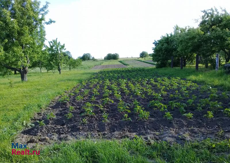 село Осинки, Мещерская улица Воротынец