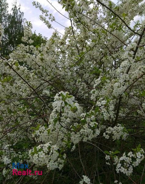 Воротынец село Фокино, улица Карла Маркса частные дома