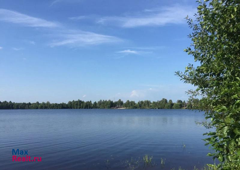 Воротынец село Каменка частные дома