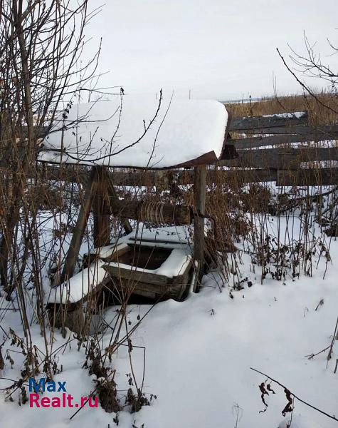 Каргаполье село Мехонское частные дома