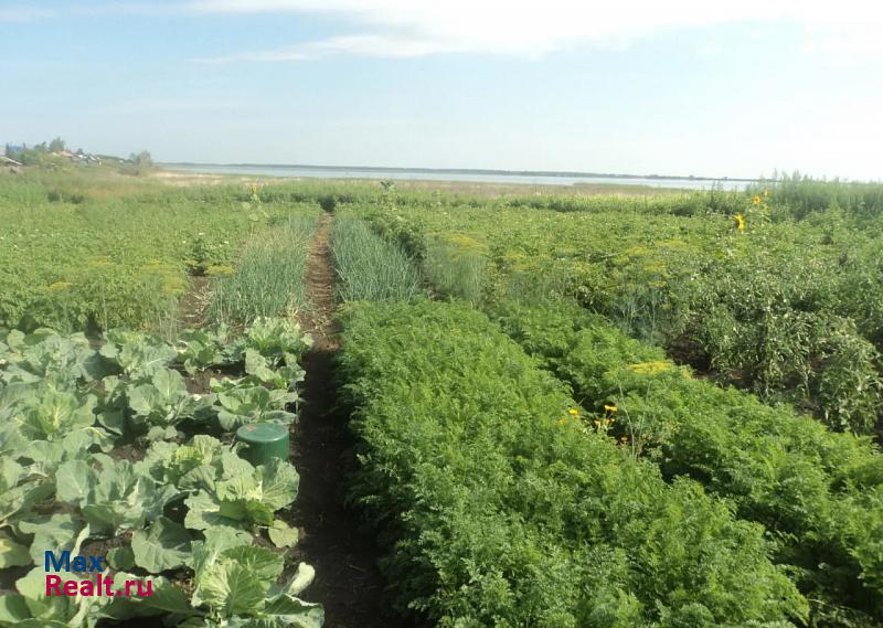 Каргаполье Каргапольский район, село Житниковское Заречная улица частные дома