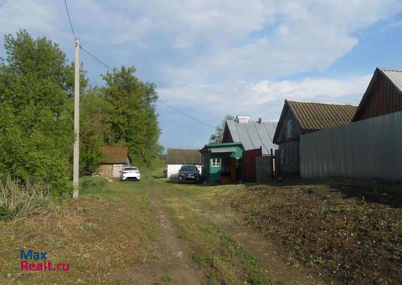 Шацк село Польное Конобеево, Центральная улица частные дома