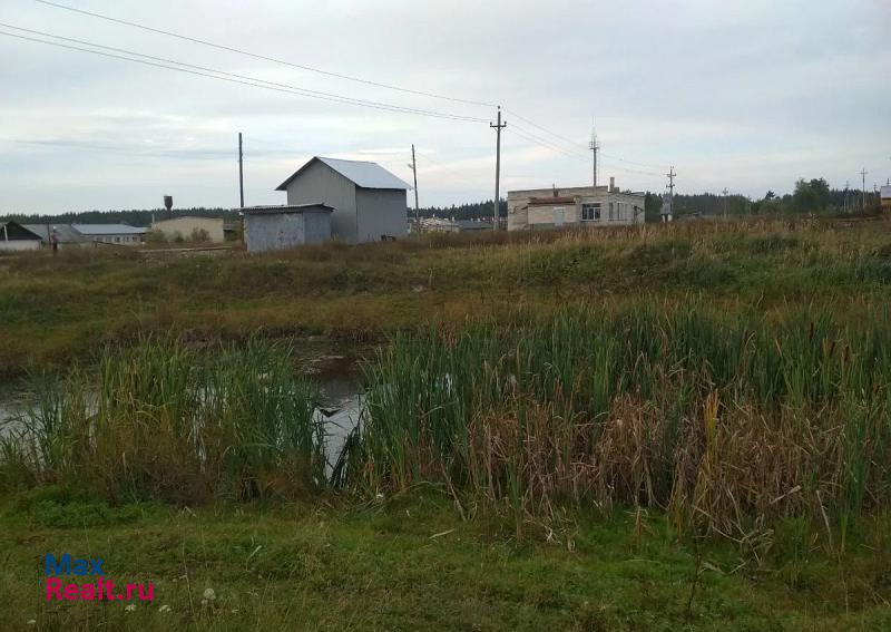 Первомайск посёлок городского типа Сатис, 1-я Железнодорожная улица частные дома