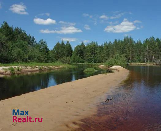 Спас-Клепики деревня Тамышёво, 62 частные дома