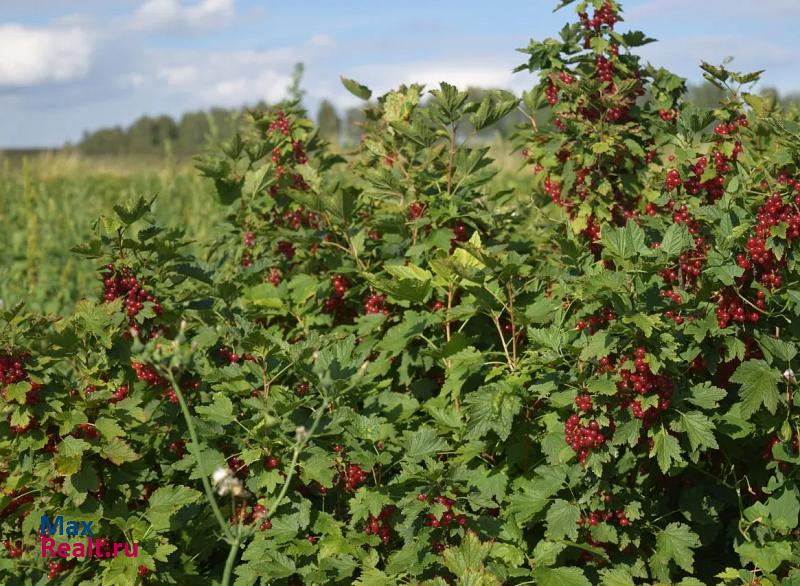 Курск деревня Пашино, Курский район дом