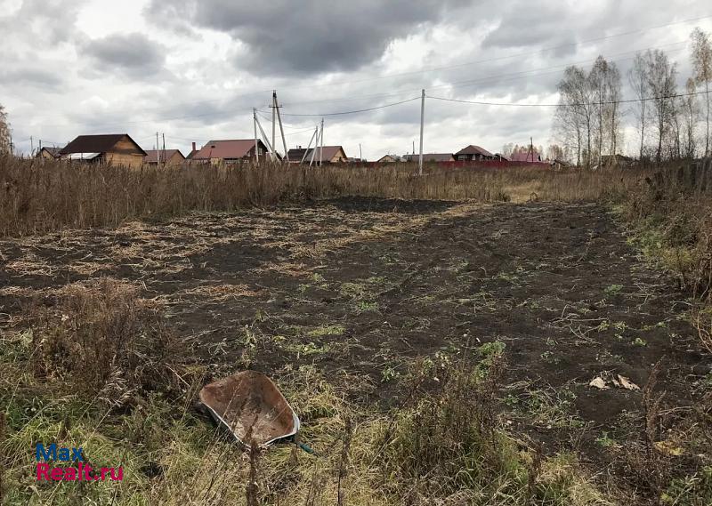 Емельяново деревня Мужичкино, Центральная улица, 31 частные дома