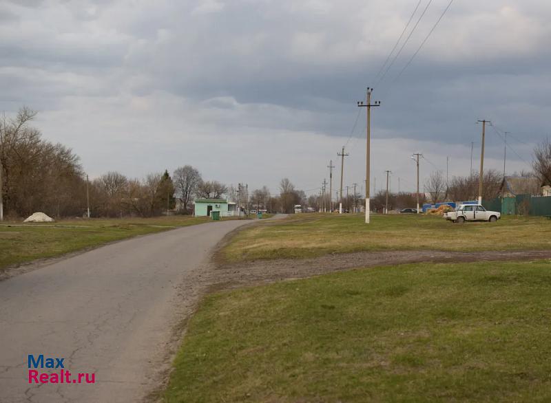 Прохоровка село Прелестное, улица П.И. Шпетного частные дома