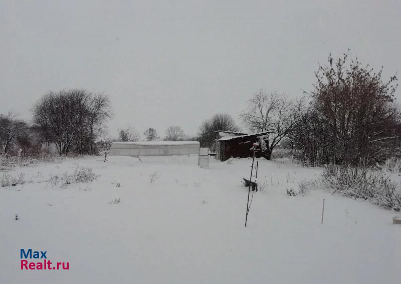 Лукоянов село Новосёлки частные дома