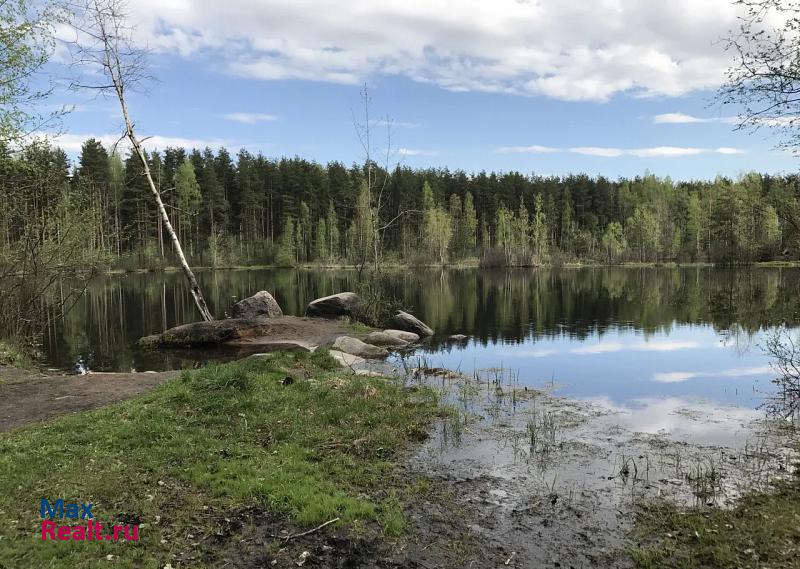 Отрадное Всеволожский район, Свердловское городское поселение частные дома