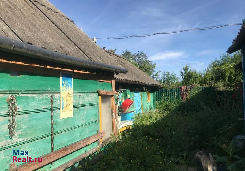 Невель Беларусь, Витебская область, Городокский район, городской посёлок Езерище частные дома