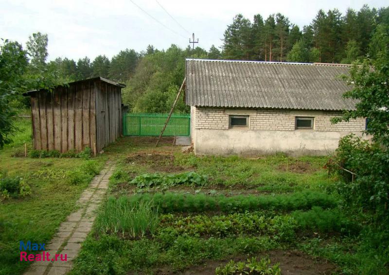 Невель деревня Усть-Долыссы, Заречная улица частные дома