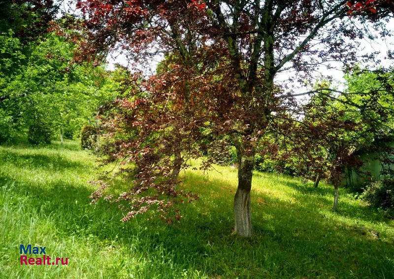 Сочи село Пластунка, садоводческое товарищество Айва дом