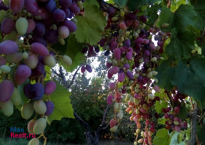 Красноперекопск Ручьёвское сельское поселение, село Ручьи, Советская улица частные дома