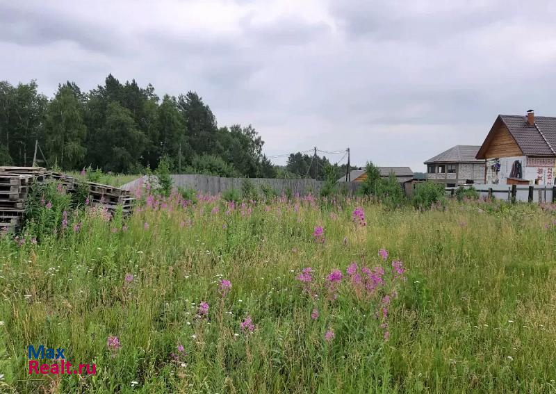 Иркутск Иркутский район, деревня Новолисиха, Счастливая улица дом