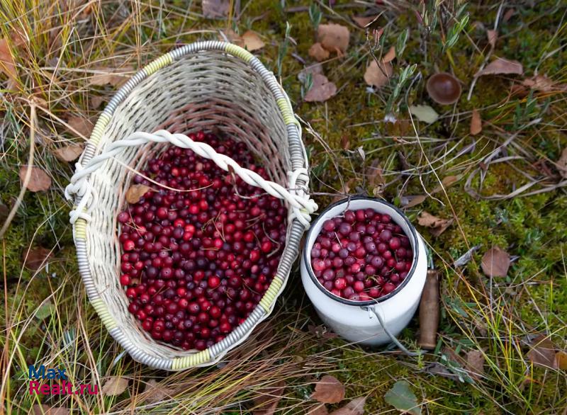 Ефимовский Лидское сельское поселение, поселок Заборье, Кооперативная улица дом