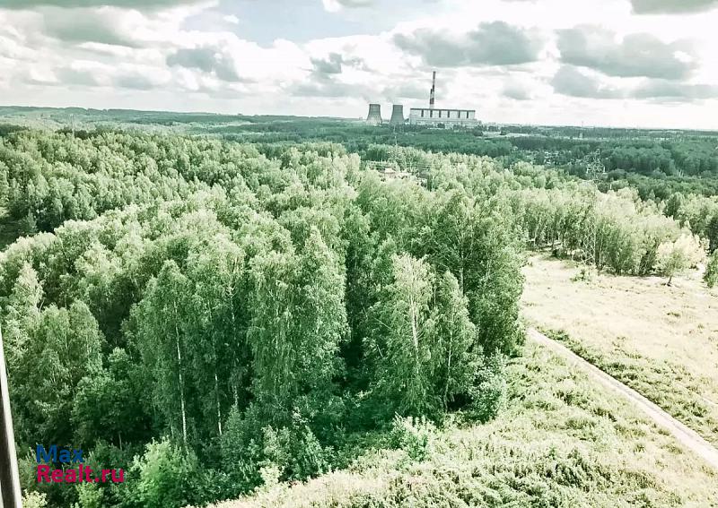 Новосибирск улица Татьяны Снежиной, 46/1