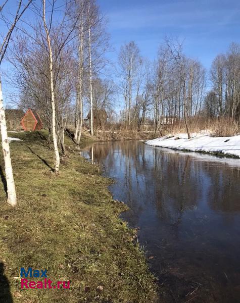 Луга деревня Старая Серёдка, Садовая улица частные дома