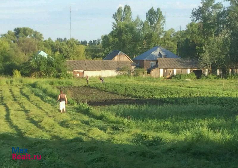 Ракитное Курская область, Беловский район частные дома