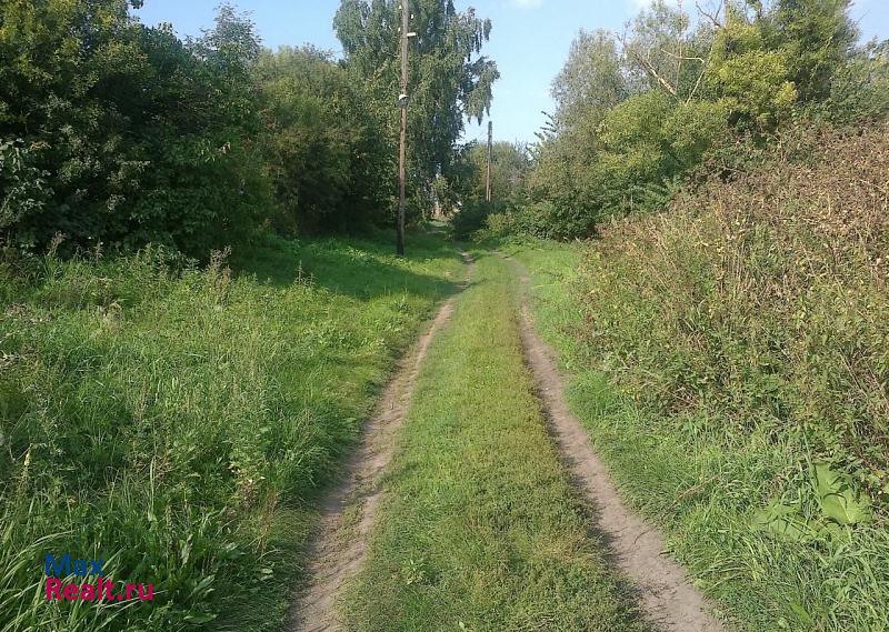 Шварцевский деревня Изрог частные дома