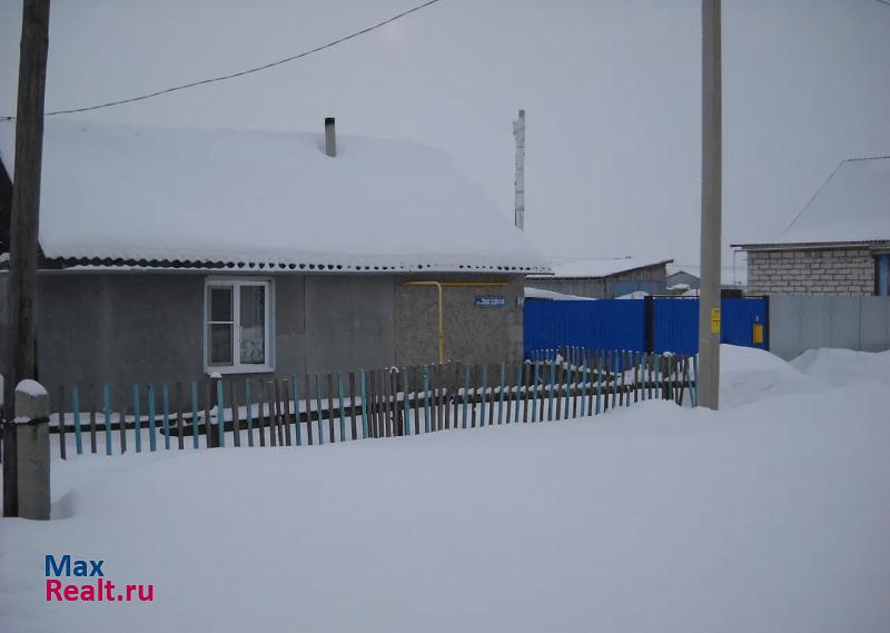 Казанское Казанский район, село Казанское, Звёздная улица, 14 частные дома