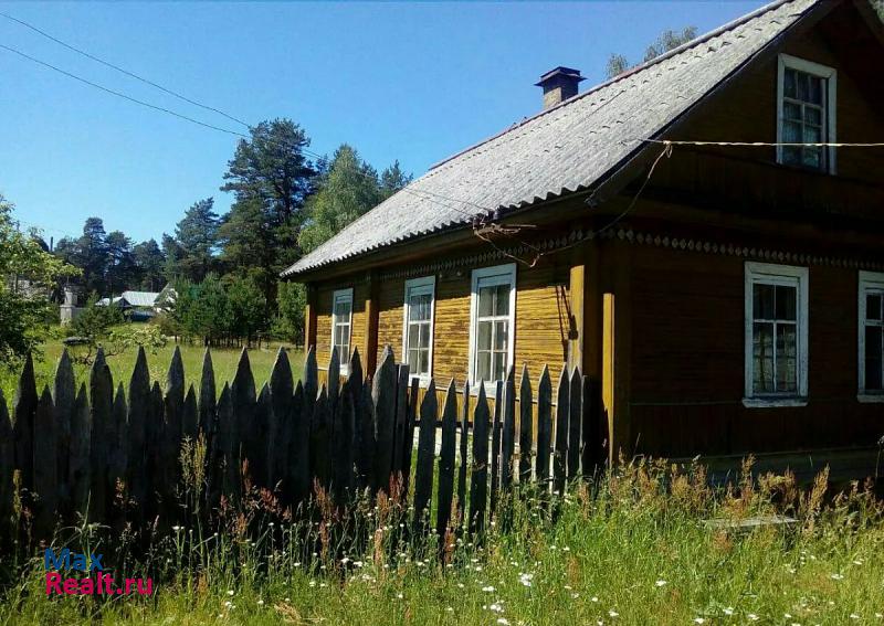 Гдов Гдовский район, село Чернёво частные дома