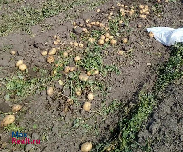 Дубенки Дубёнский район, село Дубёнки, улица Ленина, 21 частные дома