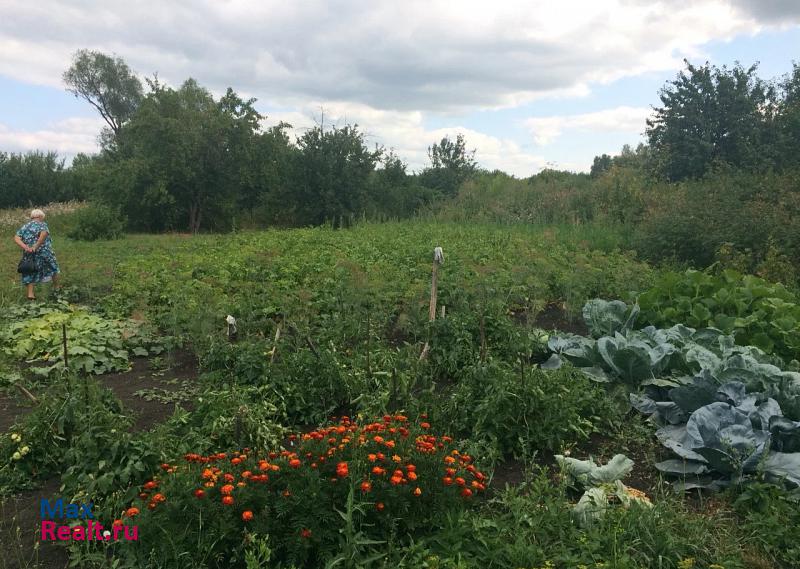 Шумерля село Языково, Пильнинский район, Нижегородская область, улица Ленина продажа частного дома