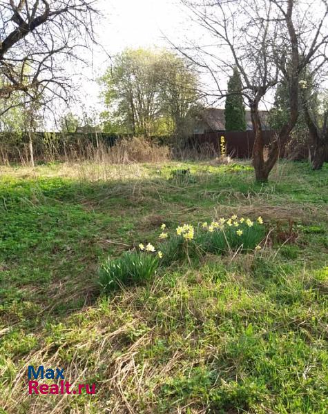 Красноармейск сельское поселение Царёвское, село Царёво, 20 дом