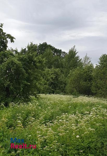 Луга Дзержинское сельское поселение, деревня Новое Село-2, Луговая улица продажа частного дома