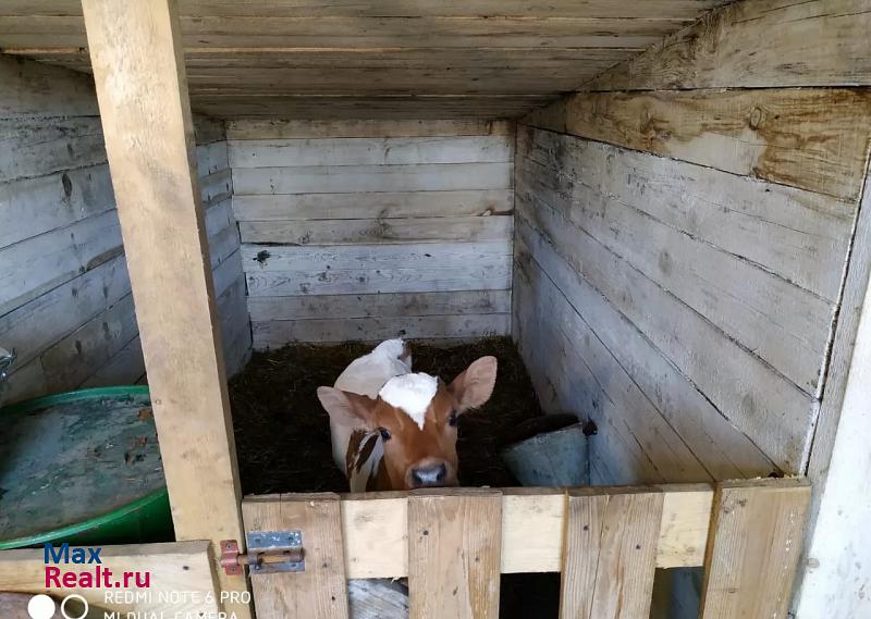 Вязьма деревня Марьино продажа частного дома