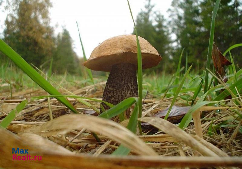 Елец село Талица, Советская улица, 1В продажа частного дома