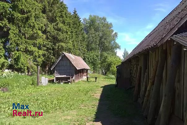 Великие Луки Холмская улица, 13 продажа частного дома