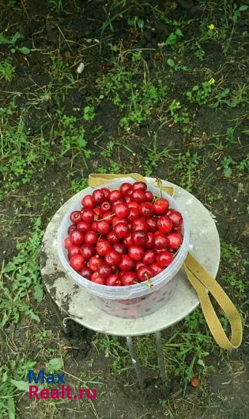 Ейск Кухаривское сельское поселение, село Воронцовка, Молодёжная улица, 35 продажа частного дома