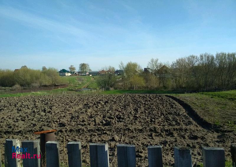 Тольятти село Верхнее Санчелеево, улица Вечканова дом