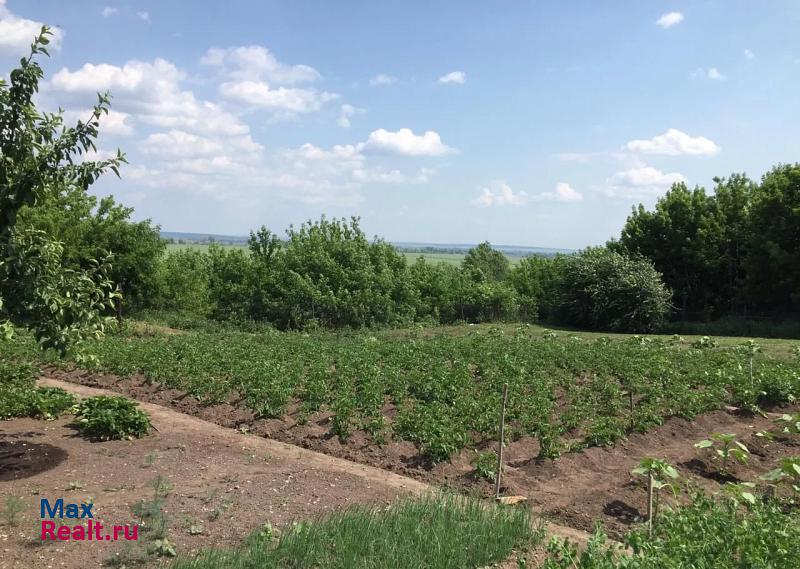 Нижнекамск село Свиногорье, Набережная улица, 6 продажа частного дома