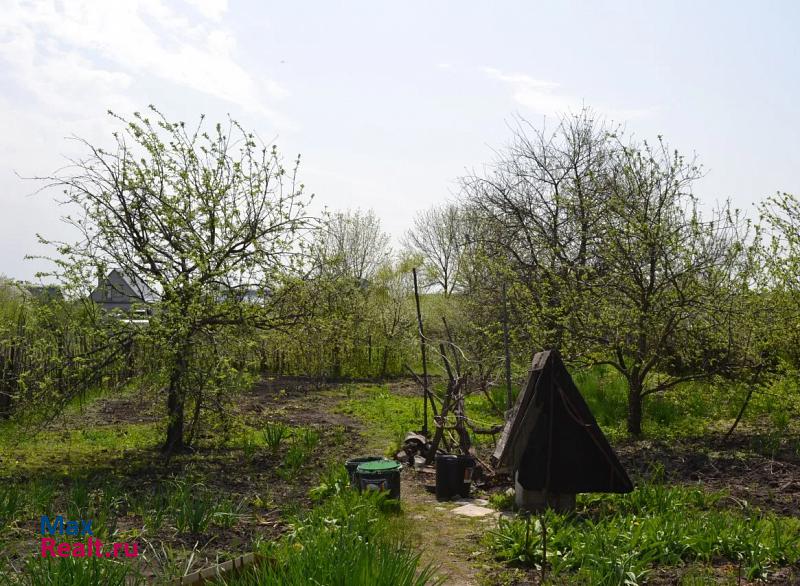 Воронеж село Петино, улица Бунакова, 90 продажа частного дома