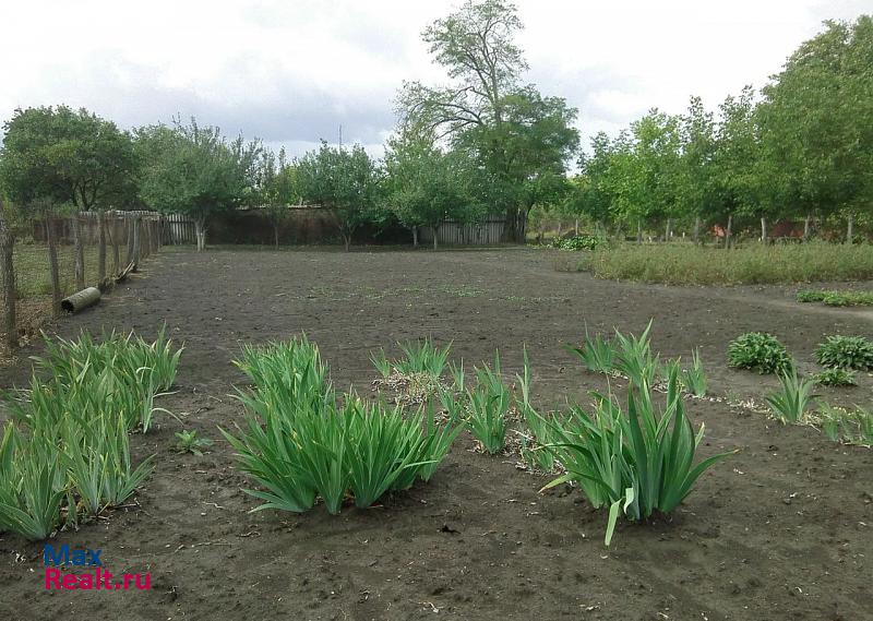 Новоплатнировская станица Крыловская, улица Гагарина дом