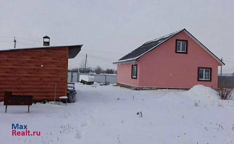 Челябинск посёлок Береговой, Красноармейский район дом