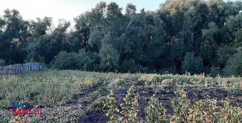 Пенза Мокшанский район, Рамзайский сельсовет, село Рамзай, улица Алексеевка, 44 продажа частного дома