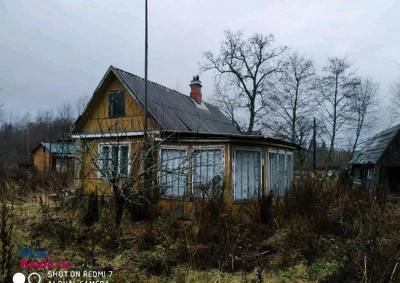 Лебяжье Лебяженское городское поселение, деревня Чёрная Лахта дом