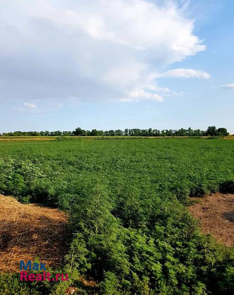 Покровское село Каменно-Андрианово, Центральная улица, 111 продажа частного дома