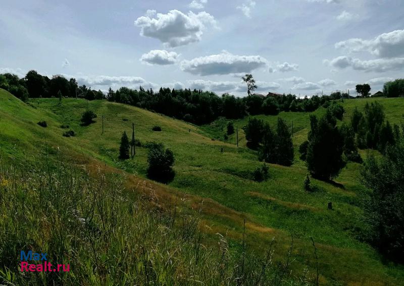 Белоомут поселок, городской округ Луховицы, Фруктовая дом