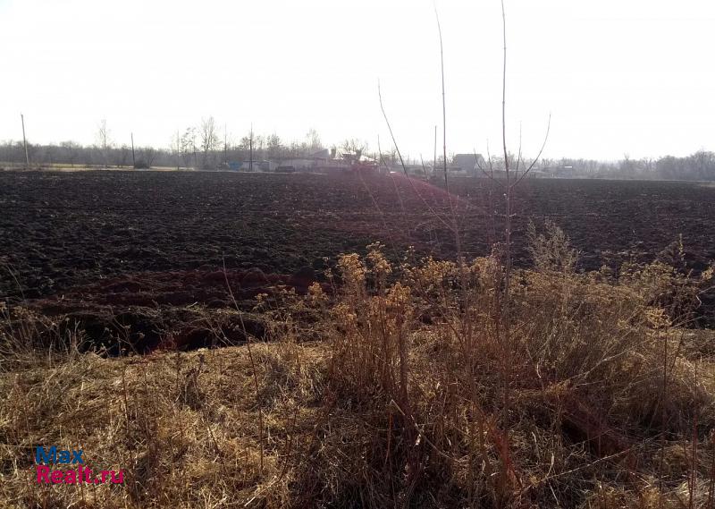 Солнцево деревня Ивановка, Лесная улица, 14 дом