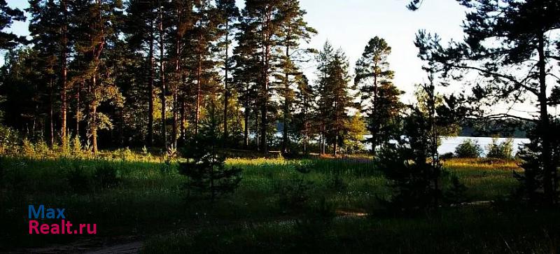 Пено деревня Городище дом