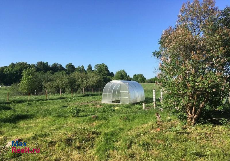 Знаменск Гвардейский городской округ, посёлок Большая Поляна, Камчатская улица дом