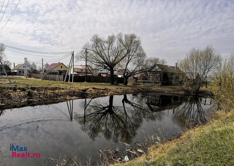 Белоомут городской округ Луховицы, посёлок городского типа Белоомут дом