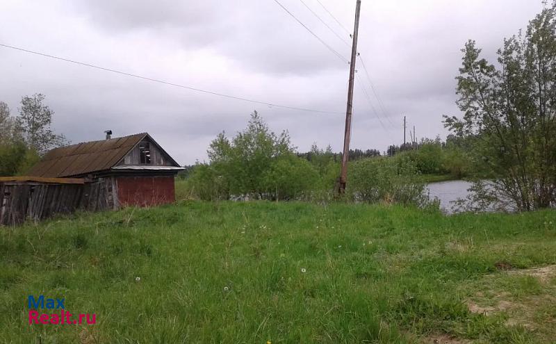 Вознесенское Нижегородская обл., Вознесенский район, д. Козлейка. дом